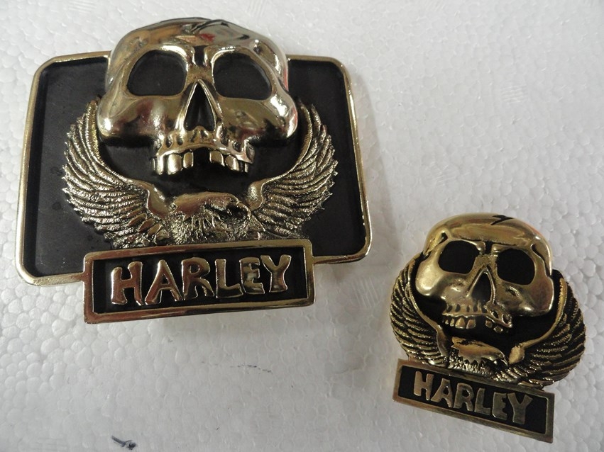 BELT BUCKLE AND PIN