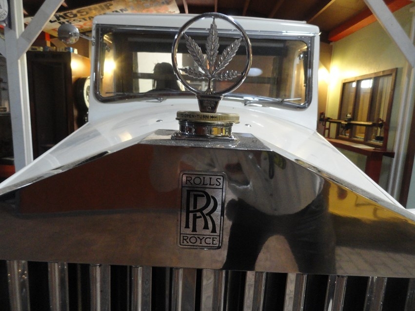 CAR HOOD EMBLEM (You get 3)