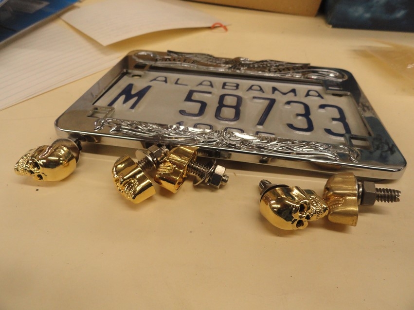 LICENSE PLATE SKULL BOLTS