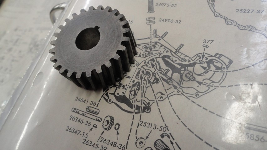OIL PUMP DRIVE GEAR